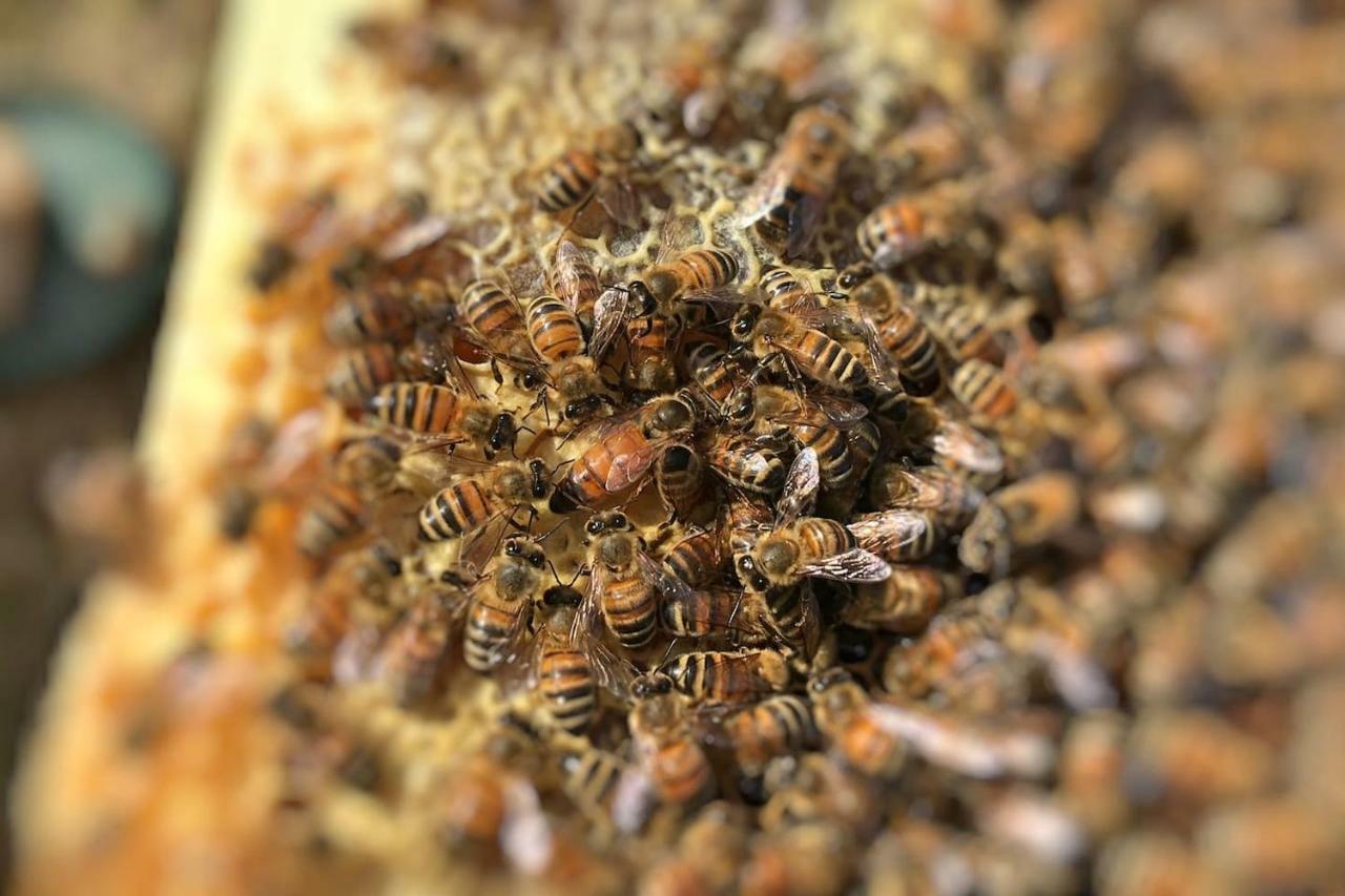 The Hive Stefy'S Apartment Иглесиас Экстерьер фото